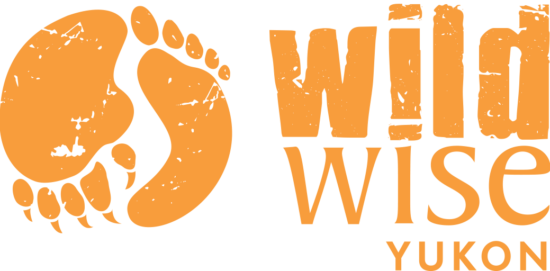 WildWise logo WildWise logo