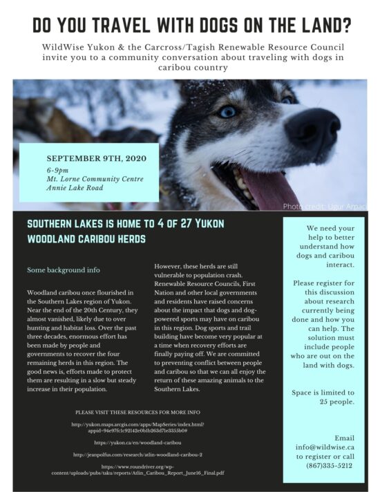 DO YOU TRAVEL WITH DOGS ON THE LAND